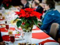 DSC_5952-990