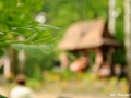 mmDSC_9800