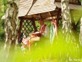 mmDSC_9805