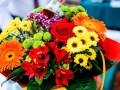 DSC_0140-990
