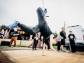 DSC_4117-1200S