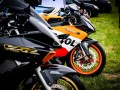 DSC_7155-990S