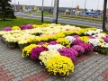 DSC_1338-990