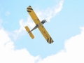 mm_DSC_4828