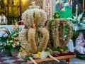 DSC_4106--990SW9