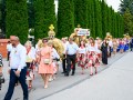 DSC_8496-990S