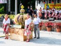DSC_8687-990S