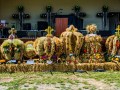 DSC_2076-990W9