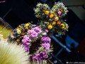 DSC_2086a-990W9