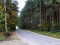DDSC_0990