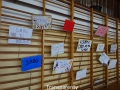 DSC00264--990