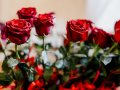 DSC_0046-1200Q85S