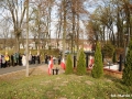 mm_DSC_7371