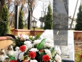 mm_DSC_7390