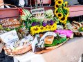 DSC_4165-990Q85W9
