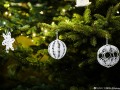 DSC_9767-990Q92W9