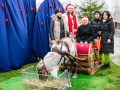 73_jarmark
