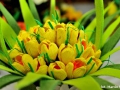 cmDSC_9671