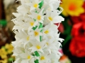 cmDSC_9680