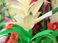 cmDSC_9703
