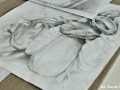 cmDSC_9717