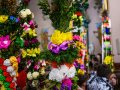 DSC_2315-990Q85S