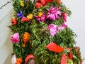 DSC_7934-990Q85S