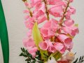 DSC_7948-990Q85S
