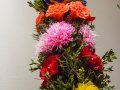 DSC_7954-990Q85S