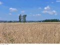 12a