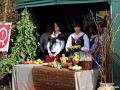 DSC8_9577.JPG