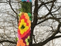 mmDSC_6223