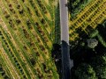 DJI_20260515083126_0017_D-1310S