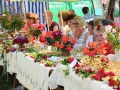 ug_DSC_3846