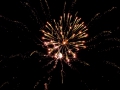 DSC_8079a--990Q94S