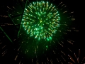 DSC_8080--990Q94S