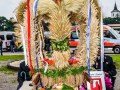 DSC_0189-990SW9