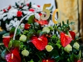 DSC_8335--990