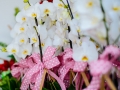 DSC_8336--990