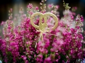 DSC_8766--990