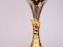 Puchar Starosty sandomierskiego dla Gminy Łoniów