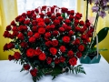 DSC_0801--990Q95