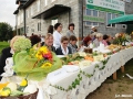 DSC_9033-1.JPG