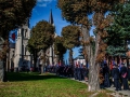 DSC_0820--990