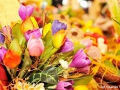 ug_DSC_1724