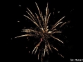 mmDSC_3507