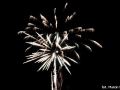 mmDSC_3555