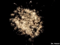 mmDSC_3557