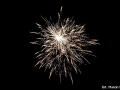 mmDSC_3570