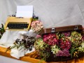 DSC_1005-990S